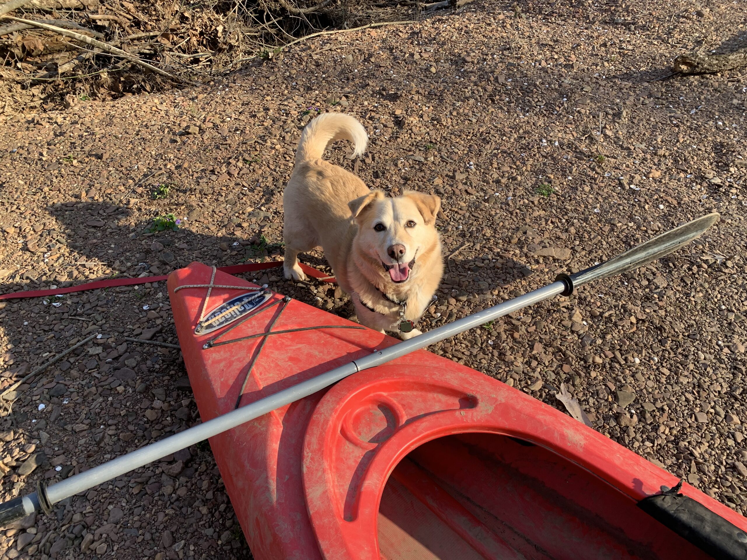 Kayak Adventure